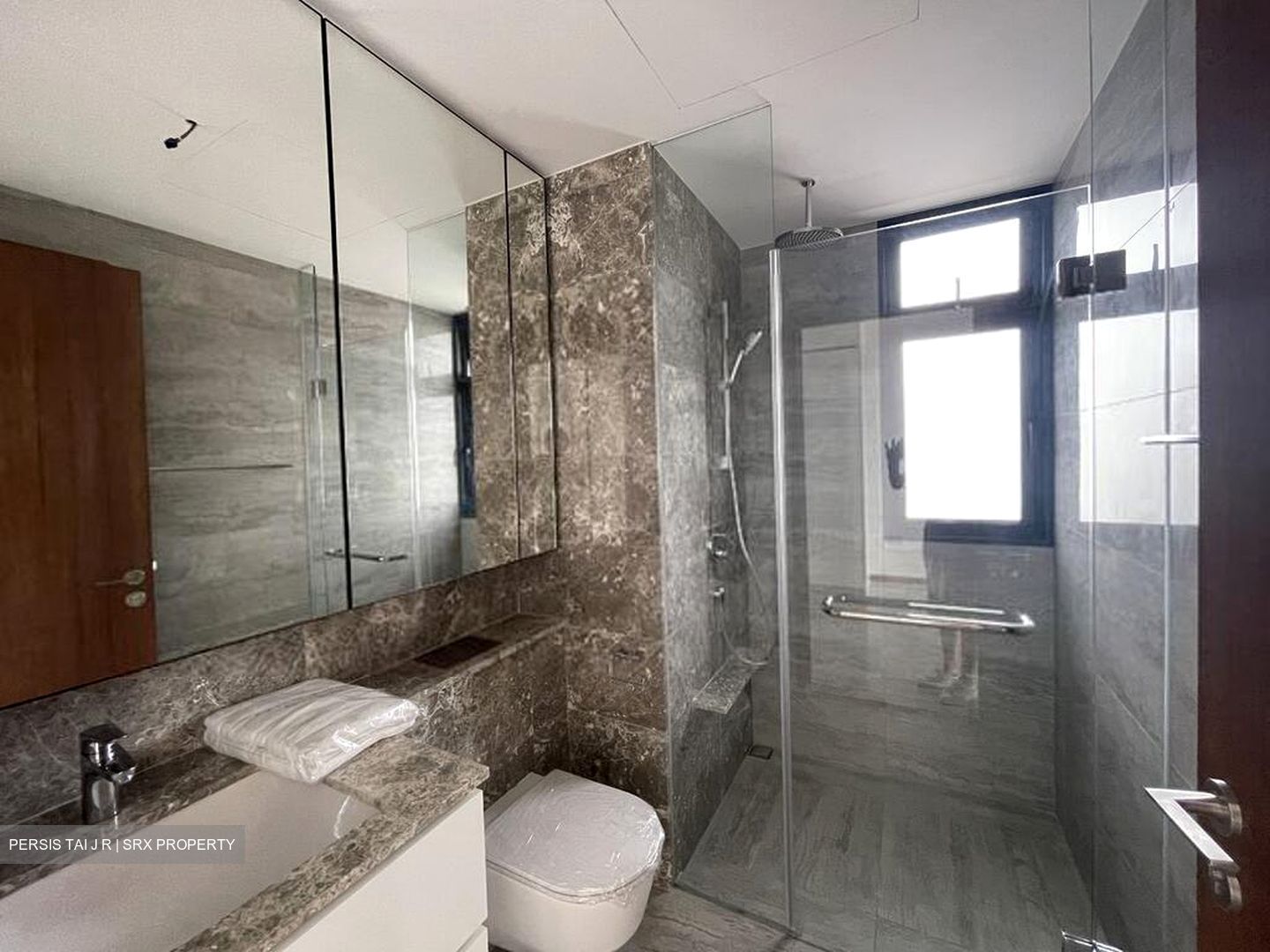Fourth Avenue Residences (D10), Apartment #539226261